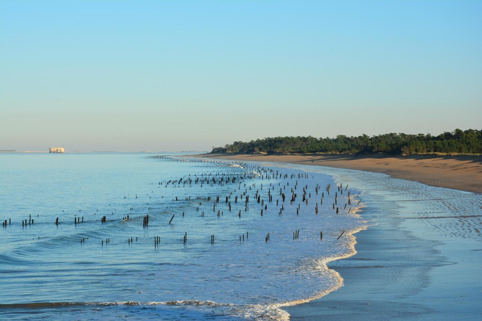 Campsite Mobil Xxl 4 - Le Domaine D'oleron Foulerot